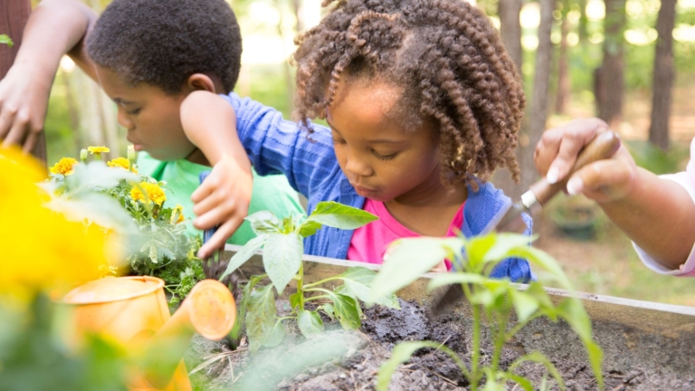 kids working in a garden