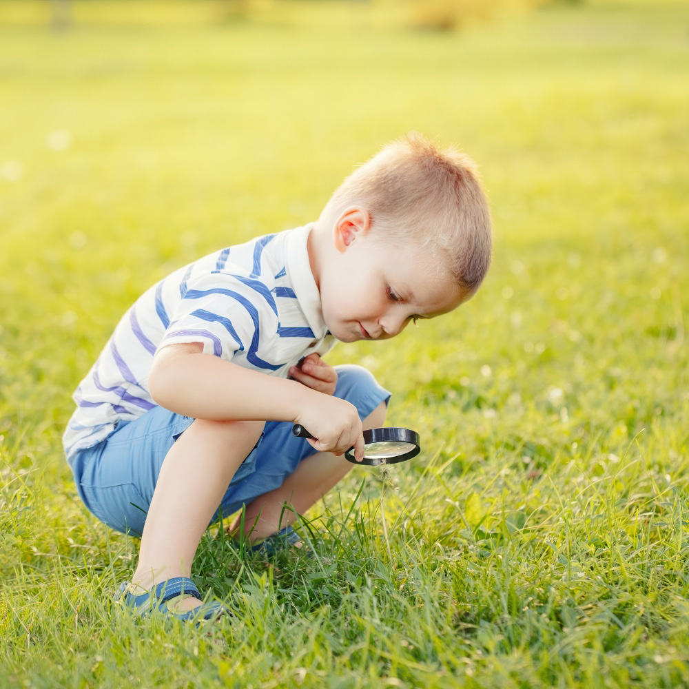 Outdoor Learning That Sparks Joy